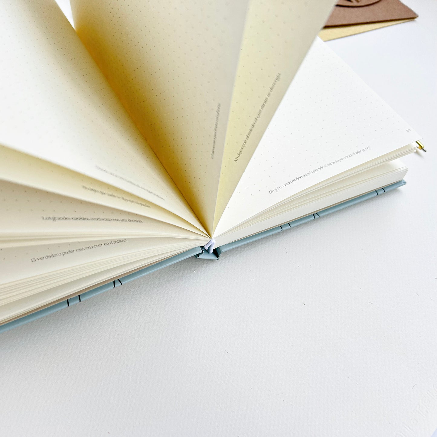 Journal de Puntos Pistachio Tulipanes
